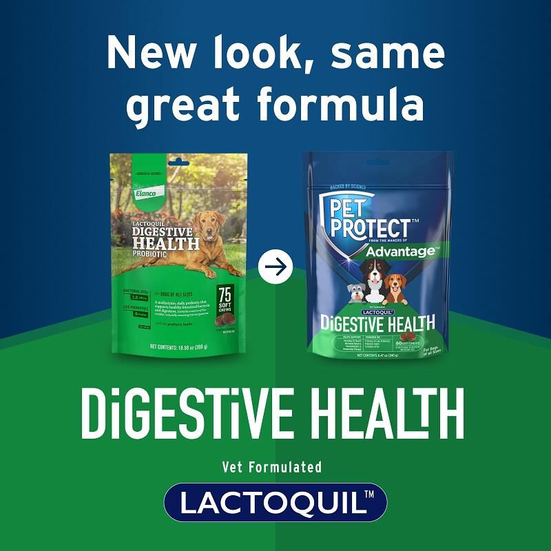 Lactoquil Soft Chews for Dogs 75 Ct