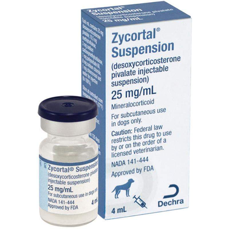Zycortal Suspension for Dogs, 25 mg/ml, 4 ml Vial