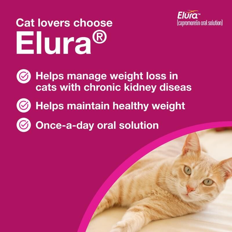 Elura (capromorelin oral solution) 20 mg/mL for Cats, 15 ml