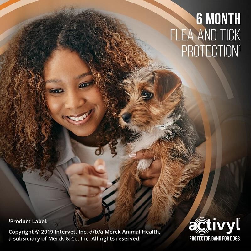 Activyl protector band for dogs sales