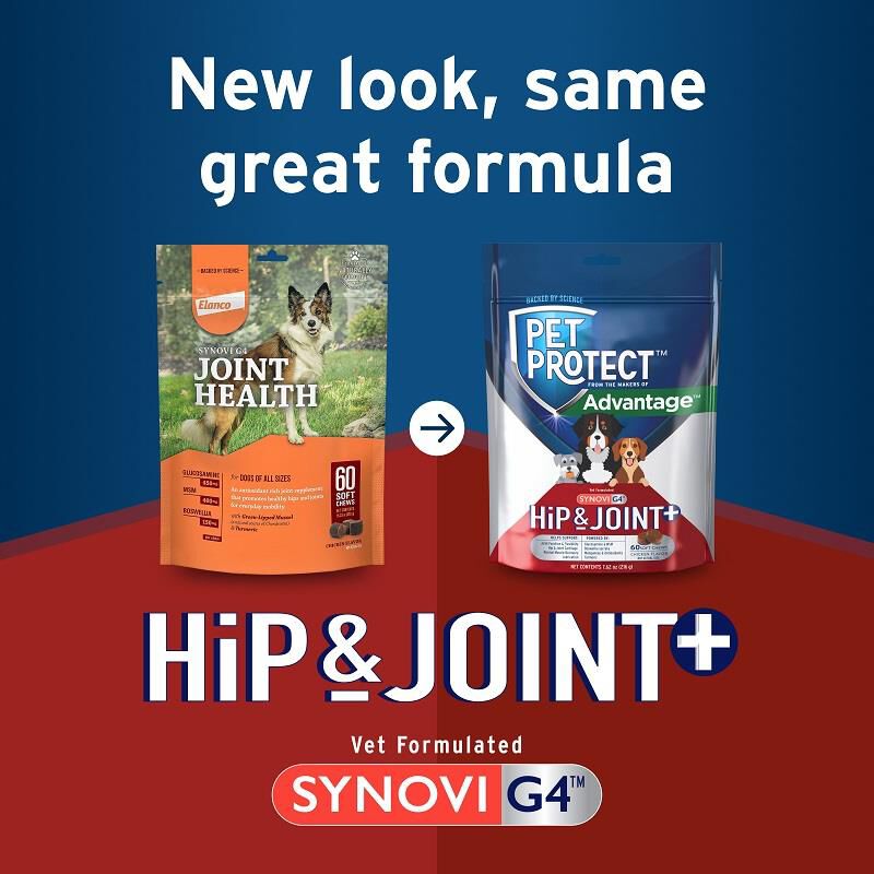 Synovi g4 deals joint health
