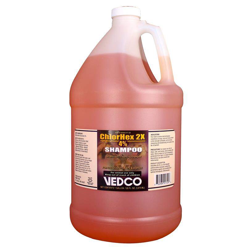 Vedco ChlorHex 2X 4% Shampoo for Dogs, Cats, and Horses for Skin Infections, 1 Gallon