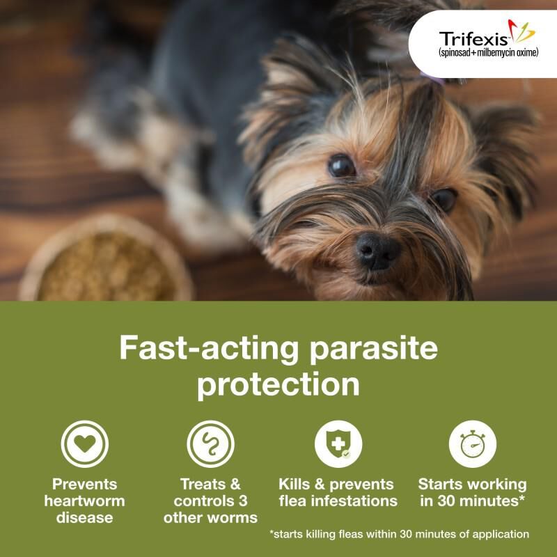 Trifexis Chewable Tablets for Dogs Giant Eagle Pet Pharmacy