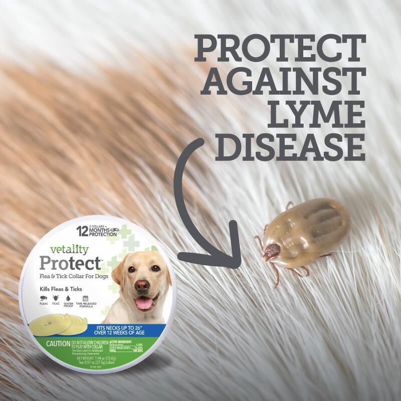 Vetality Protect Flea & Tick Collar for Dogs