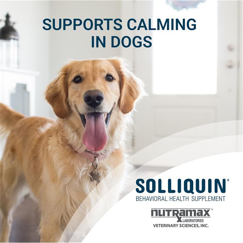 Solliquin Behavioral Health Supplement for Large Dogs 75 Soft Chews