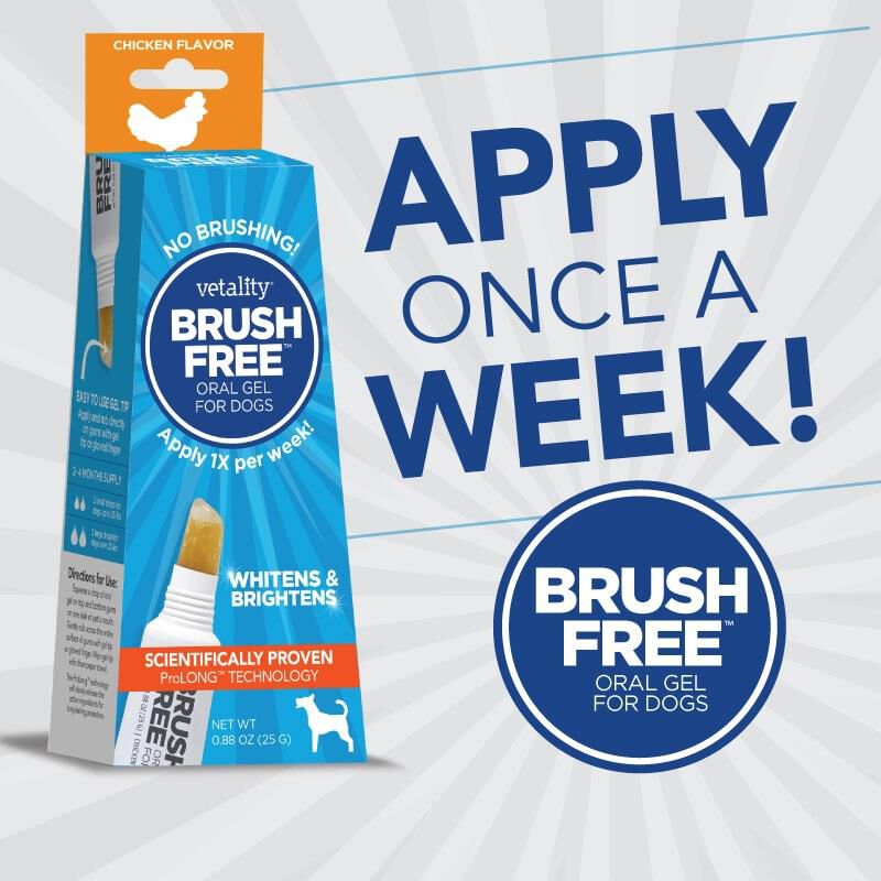 Vetality Brush Free Oral Gel for Dogs, 25 G