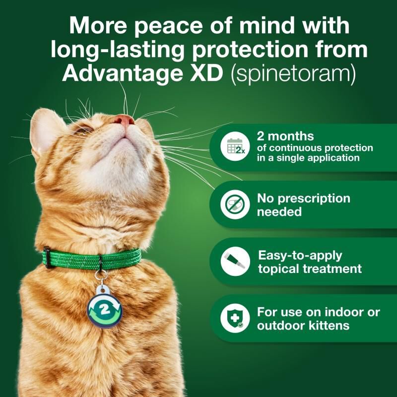 Advantage XD for Cats