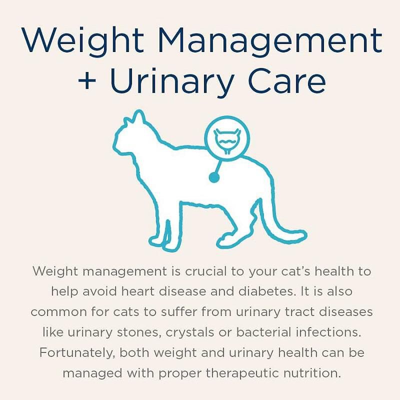 Blue Buffalo Natural Veterinary Diet W+U Weight Management + Urinary Care Cat Food (24 x 5.5 oz) Cans