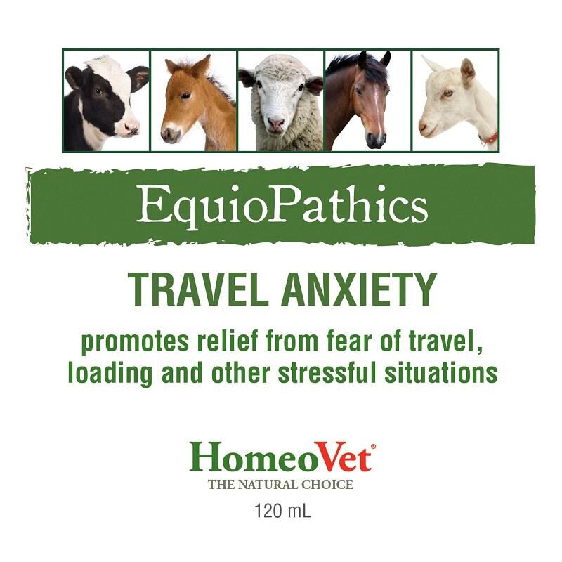 EquioPathics Travel Anxiety Equine