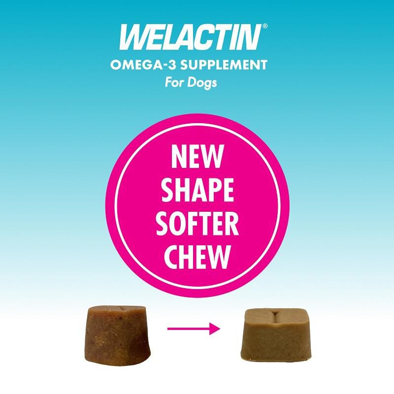 Welactin capsules for dogs hot sale