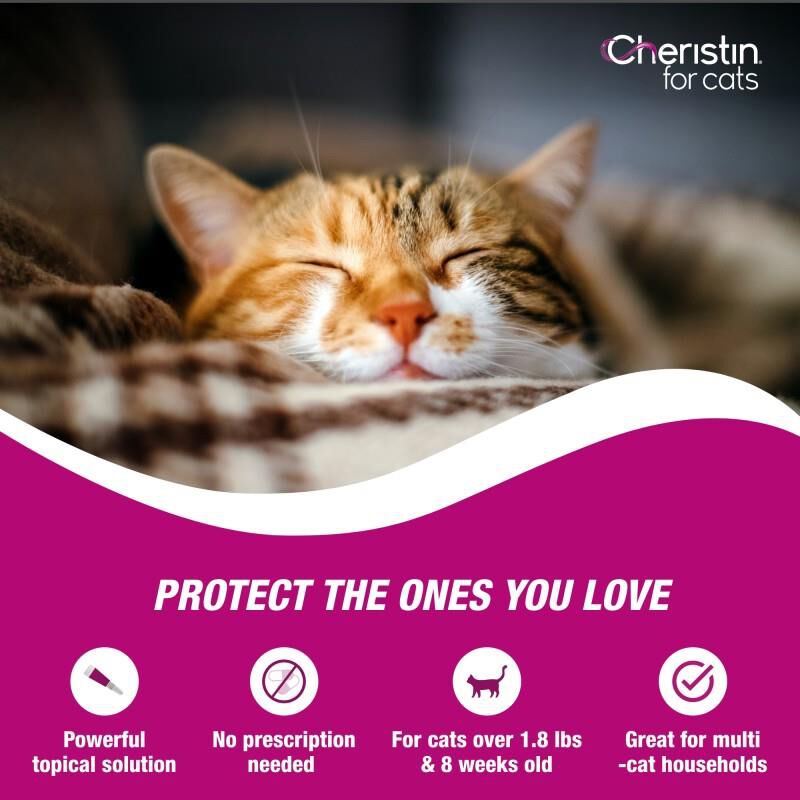 Elanco Animal Health Cheristin for Cats for Fleas Giant Eagle Pet Pharmacy