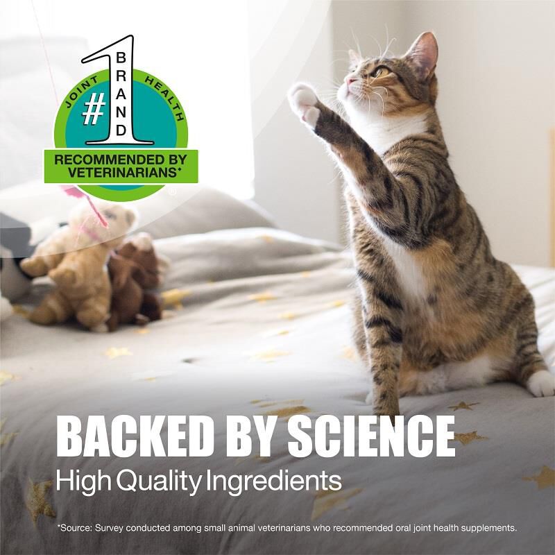 Dasuquin for Cats, 84 Soft Chews