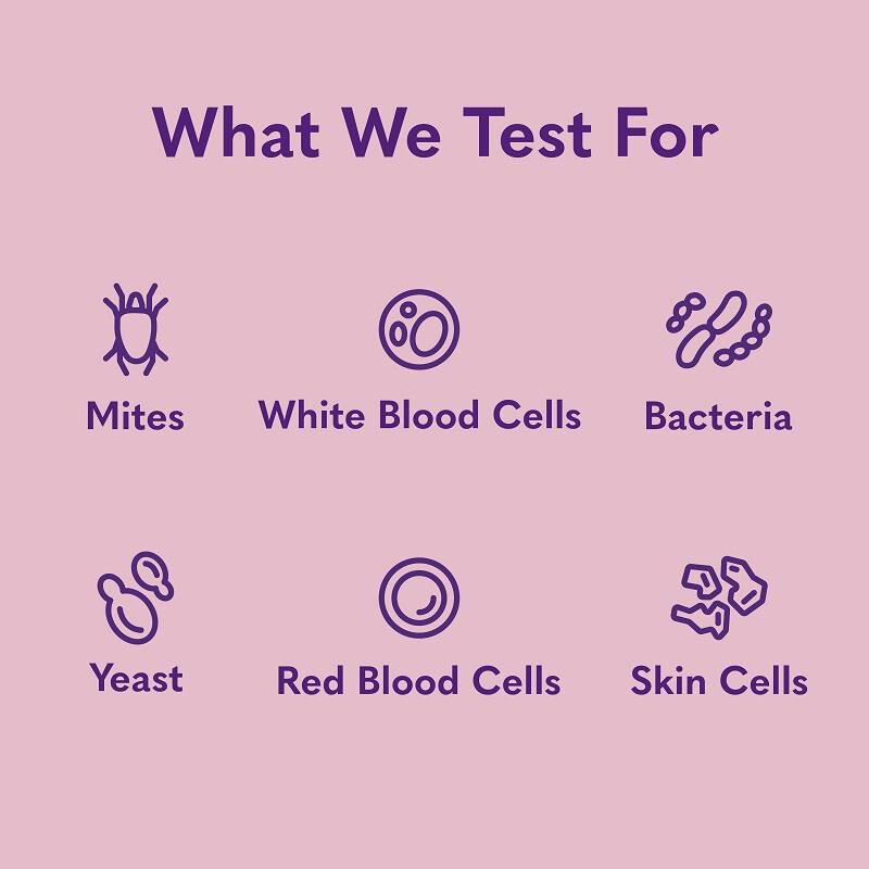 MySimplePetLab Ear Infection Cat Test Kit