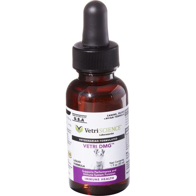 Vetri-Science Vetri-DMG Liquid For Dogs & Cats