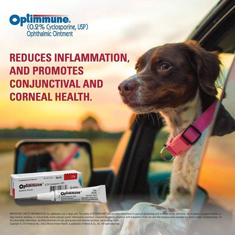 Optimmune Ophthalmic Ointment 0.2%, 3.5g Tube