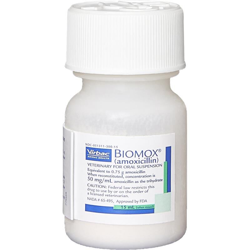 Biomox (Amoxicillin) 50 mg/ml Oral Suspension for Dogs