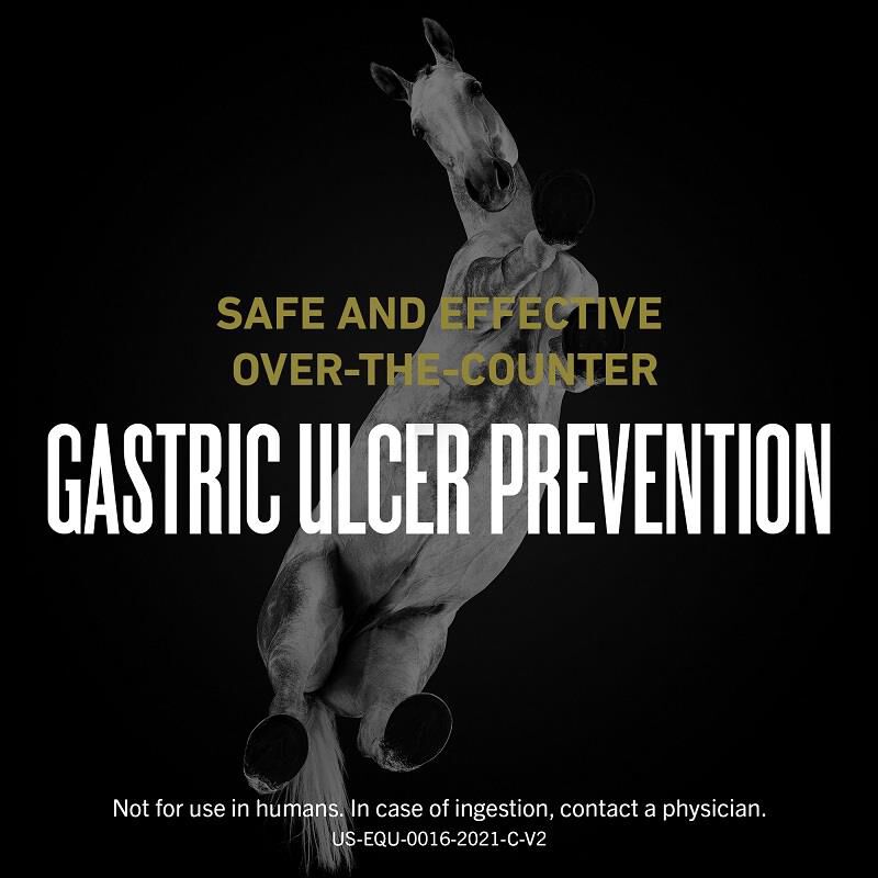 Merial UlcerGard for Horses to Prevent Ulcers, 0.22 ounces, 4 Doses