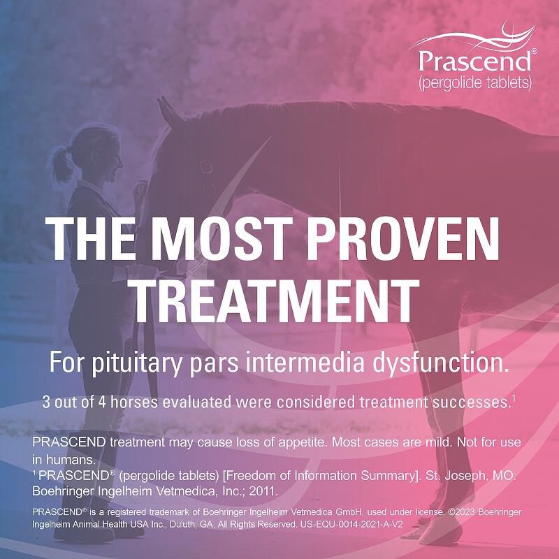 Prascend Tablets for Horses