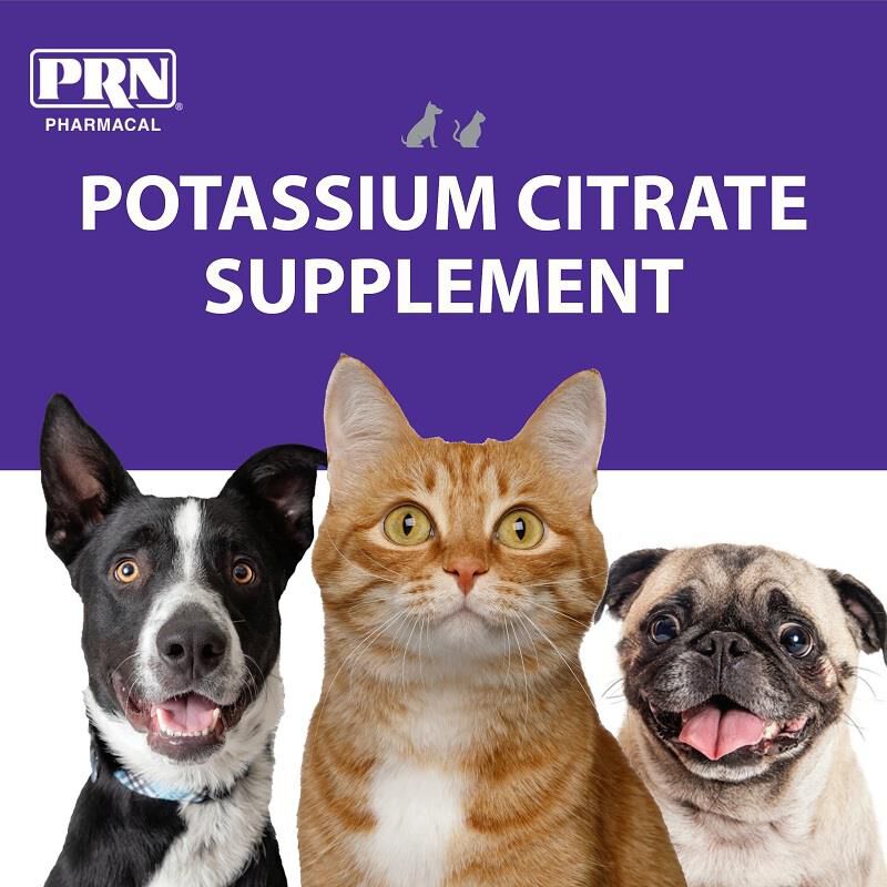 Potassium supplement store for cats