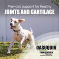 Dasuquin for Dogs