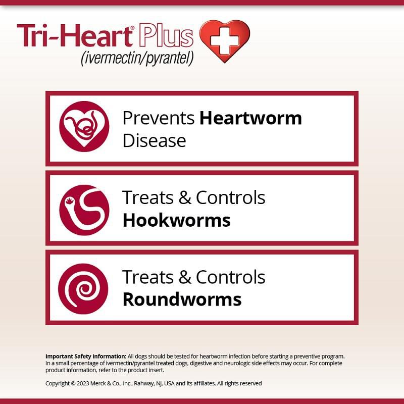 Tri-Heart Plus Chewable Tablets for Dogs