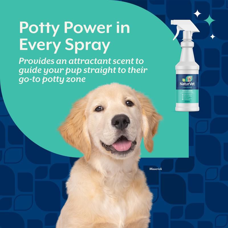 NaturVet Potty Here Training Aid Spray, 32 oz