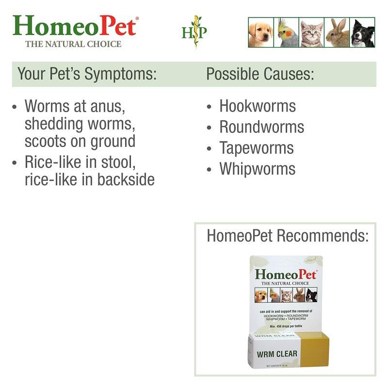 HomeoPet Wrm Clear