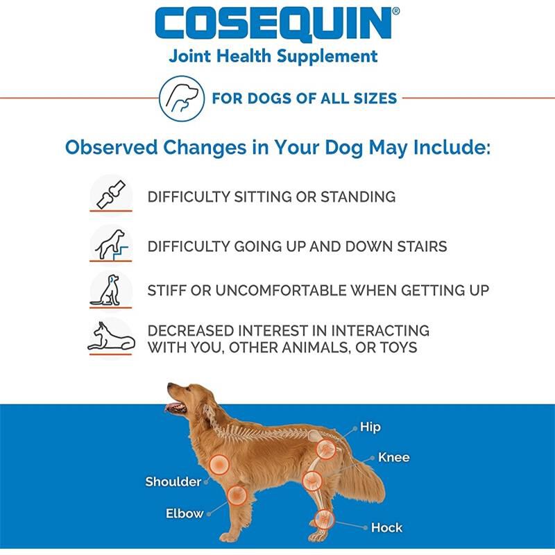 Cosequin Senior Maximum Strength Joint Health Supplement for Dogs, 120 Soft Chews