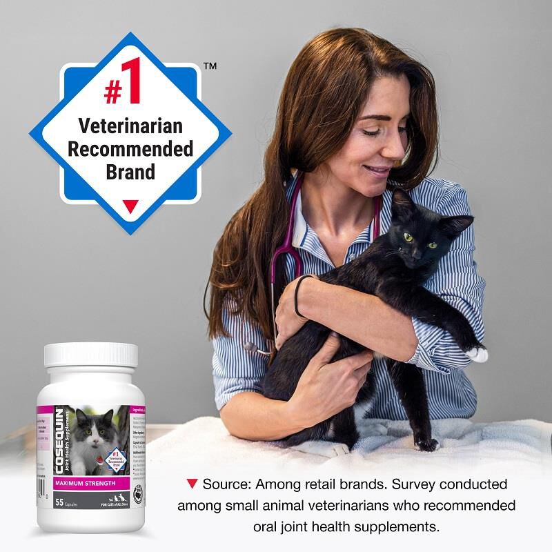 Cosequin Maximum Strength Joint Health Supplement for Cats, 55 Sprinkle Capsules