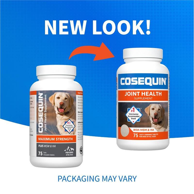 Nutramax Cosequin Maximum Strength Plus MSM and HA for Dogs, 75 Chew Tabs