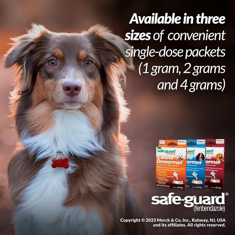 Safe-Guard Canine Dewormer