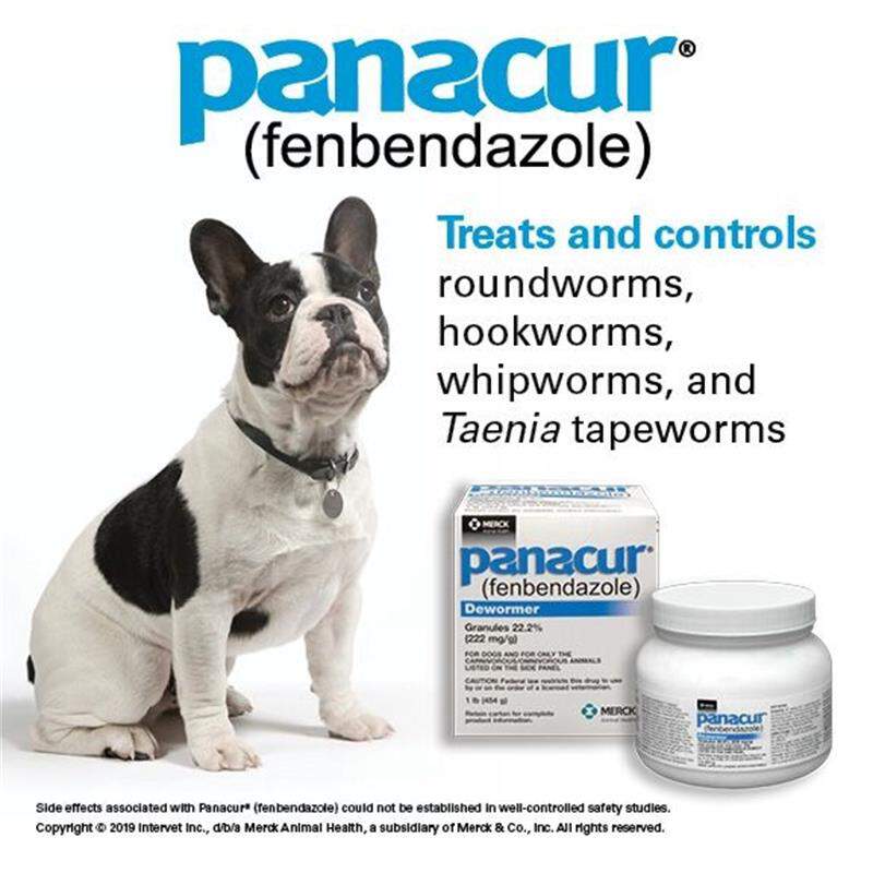 Panacur Dewormer Granules 22.2%, 1 lb