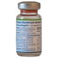 Neogen ImmunoRegulin (Propionibacterium Acnes, Immunostimulant), 5 ml vial