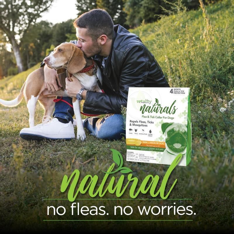 Vetality Naturals Flea & Tick Collar for Dogs