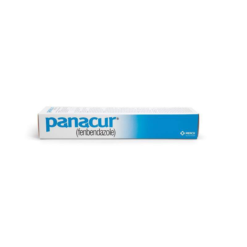 Merck Animal Health Panacur Paste 10% for Horses 100 mg