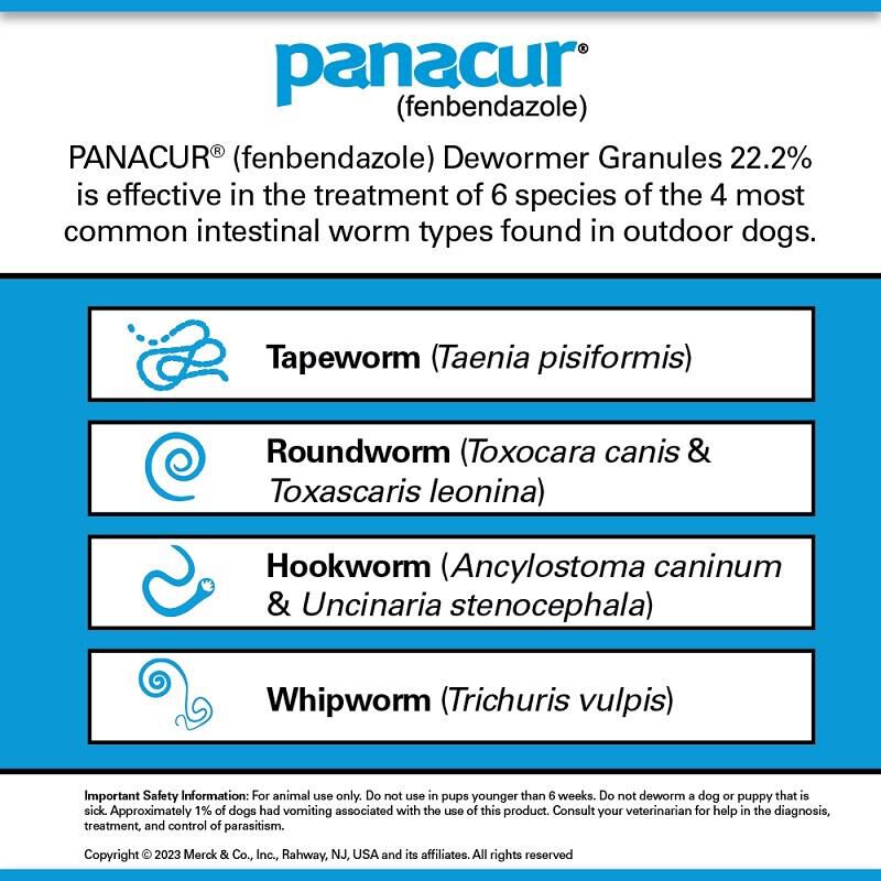 Panacur C Canine Dewormer