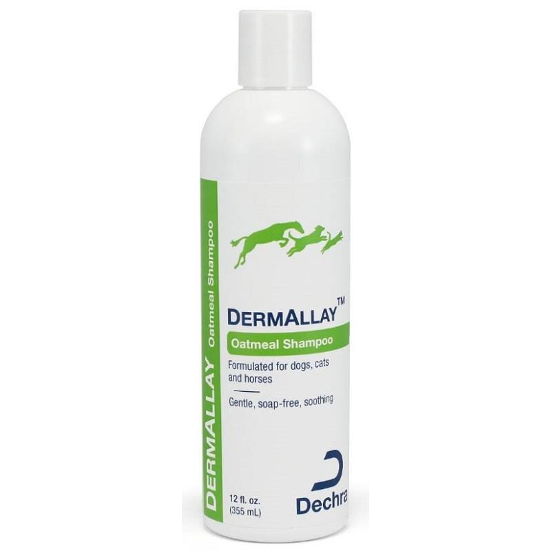 DermAllay Oatmeal Shampoo