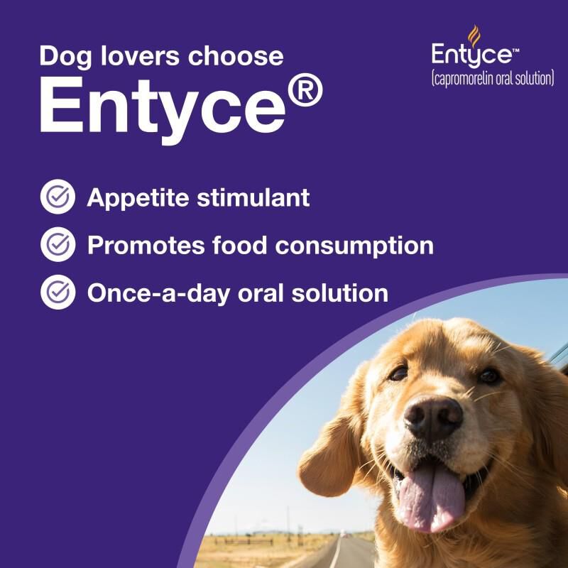 Entyce (capromorelin) 30mg/ml Oral Solution – Express Vet