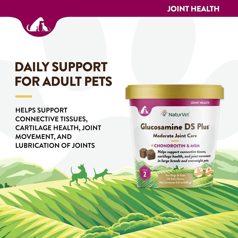 NaturVet Glucosamine DS Plus Level 2 Soft Chews for Dogs and Cats Giant Eagle Pet Pharmacy