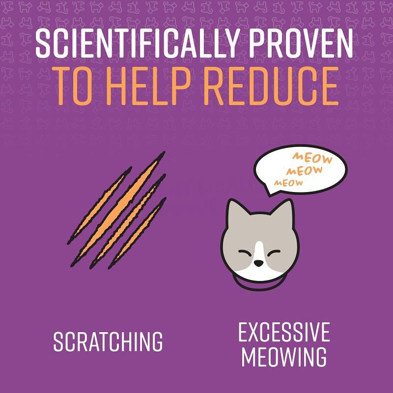 Sentry Calming Collar for Cats