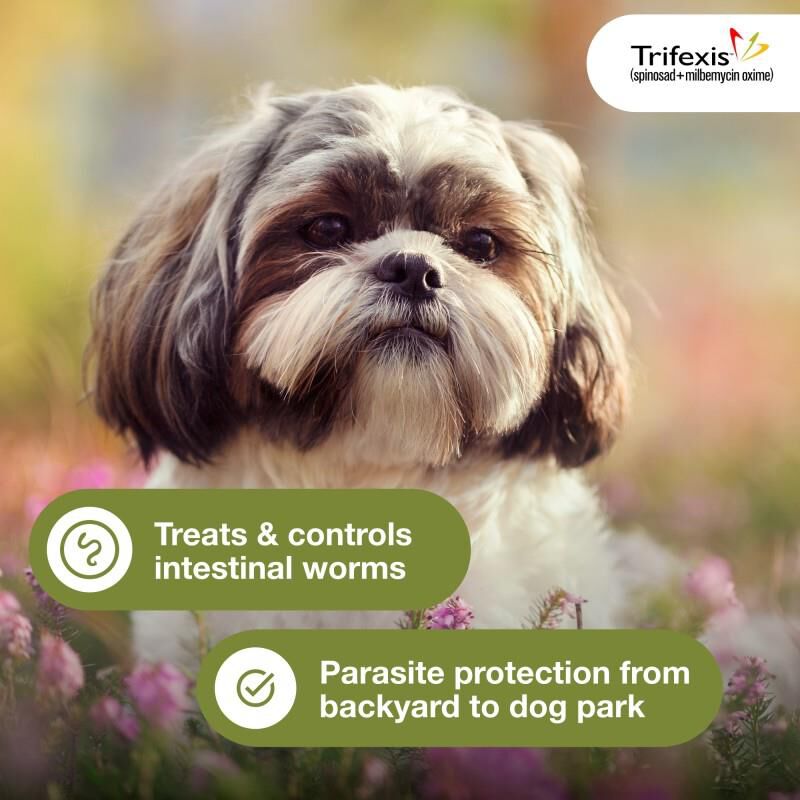 Trifexis Chewable Tablets for Dogs 5-10 lbs Pink, 12 Month Supply