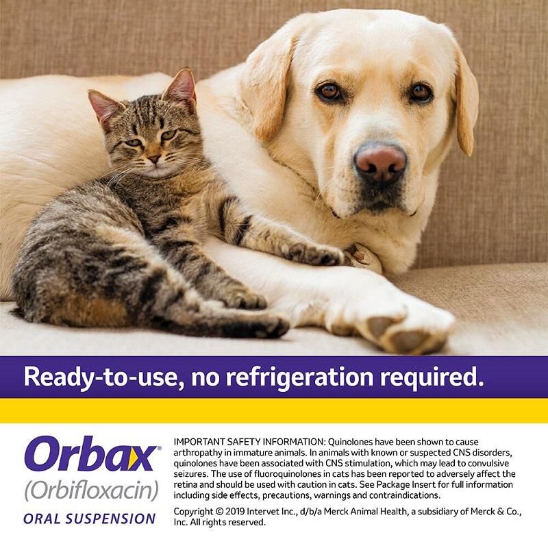 Orbax Oral Suspension 30 mg/ml, 20 ml