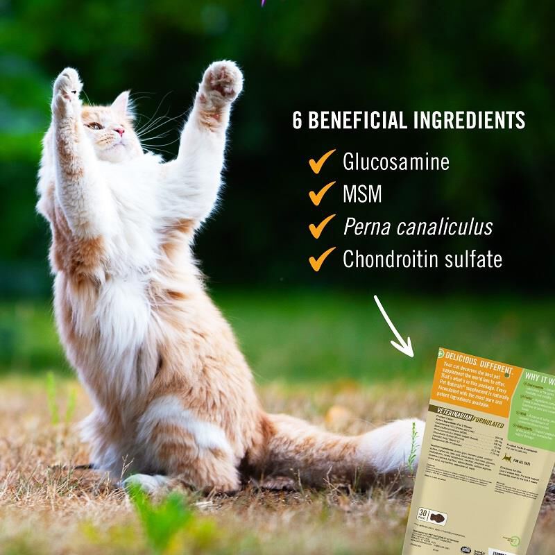 Pet Naturals Hip & Joint for Cats, 30 Soft Chews