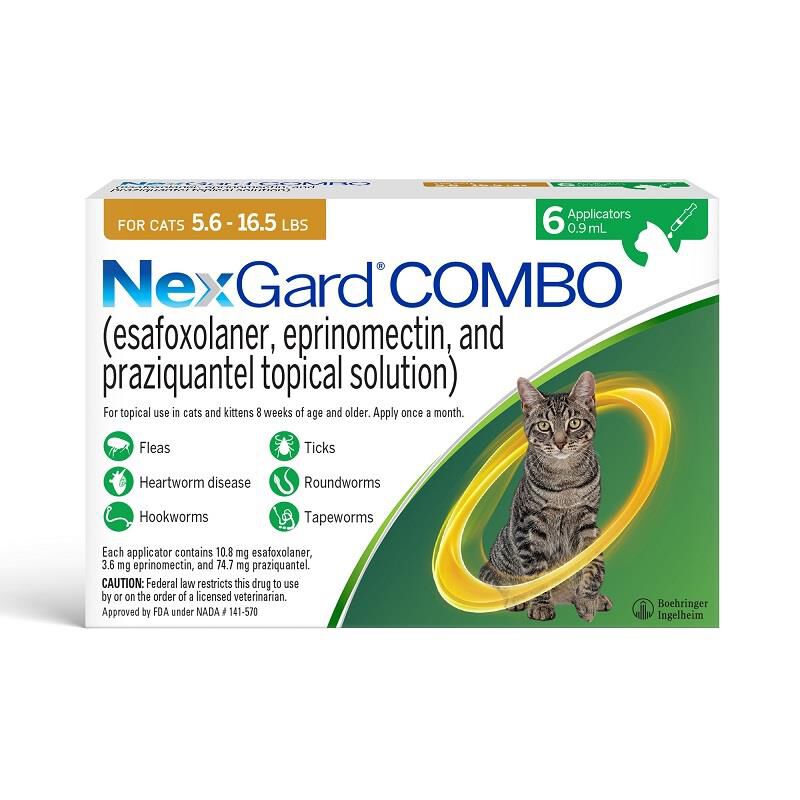 NexGard COMBO Topical for Cats and Kittens - Main Image