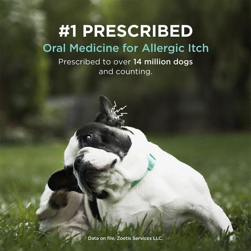 Apoquel Tablet Giant Eagle Pet Pharmacy