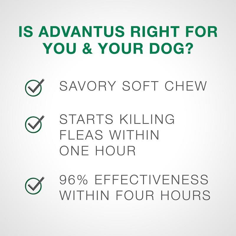 Advantus Oral Flea Treatment Soft Chews for Dogs