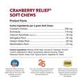 NaturVet Cranberry Relief Healthy Urinary Tract Plus Echinacea Soft Chews for Dogs