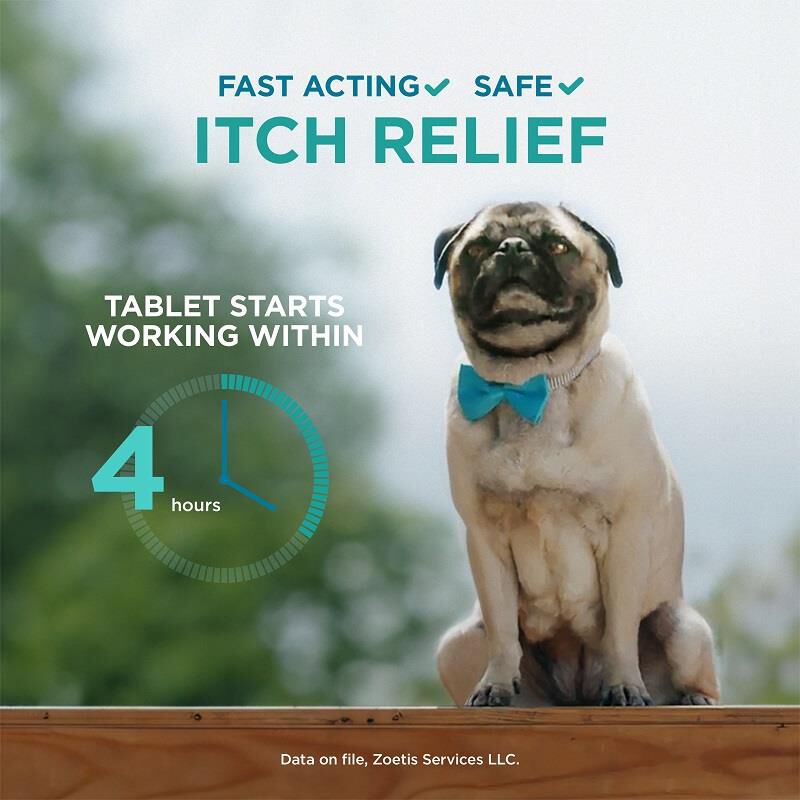 Apoquel Tablet Giant Eagle Pet Pharmacy