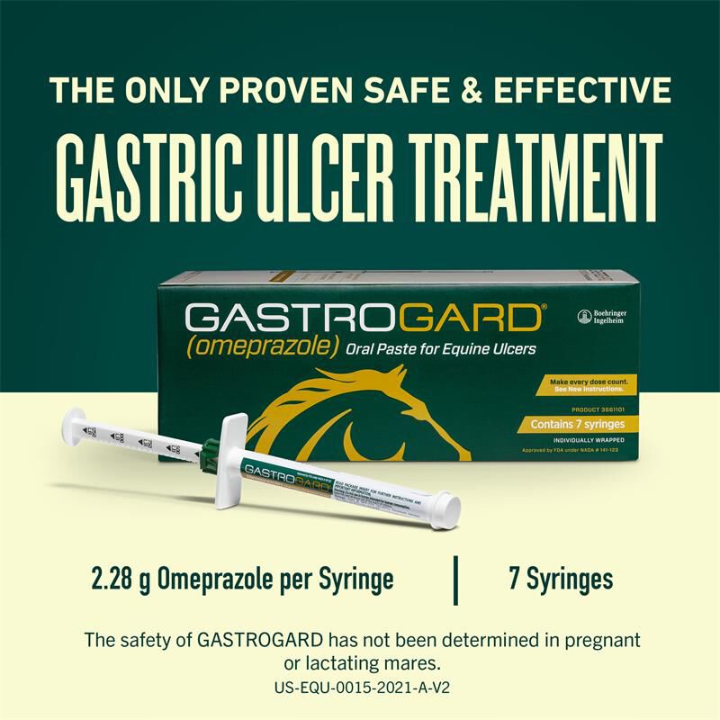 GastroGard for Horses