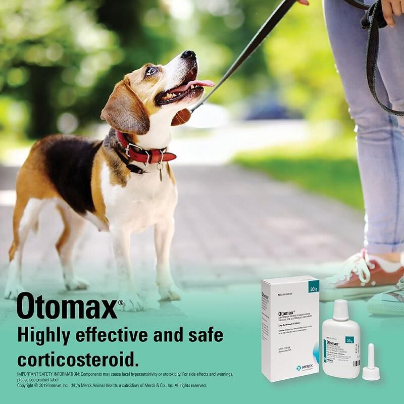Otomax Ointment
